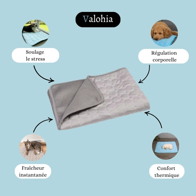 ThermoProtect – Tapis rafraîchissant pour animal