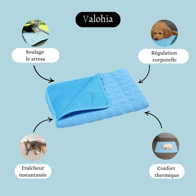 ThermoProtect – Tapis rafraîchissant pour animal