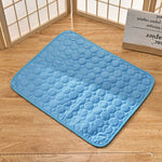 Charger l&#39;image dans la galerie, ThermoProtect – Tapis rafraîchissant pour animal
