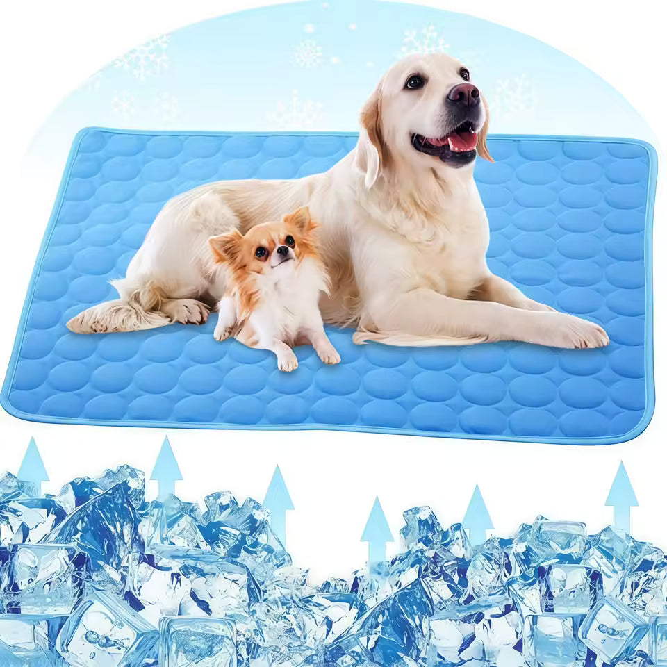 ThermoProtect – Tapis rafraîchissant pour animal